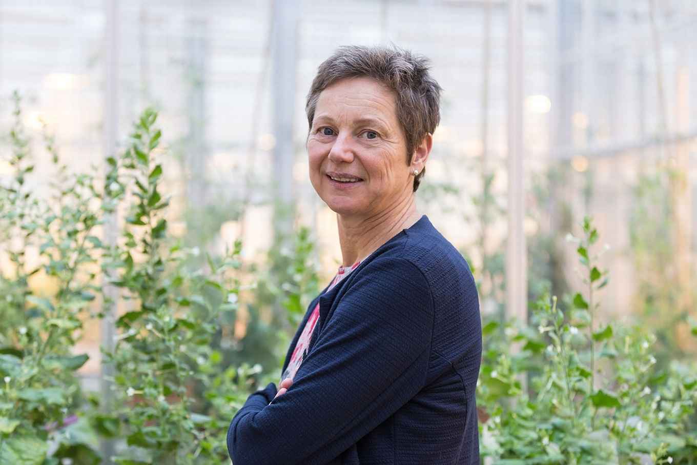 Prof Astrid Groot, Professor Population and Evolutionary Biology